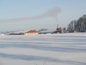 Hönshus, maskinhall och halmpannan en kall vinterdag.